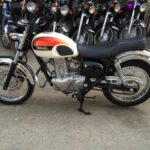 Kawasaki Estrella BJ250 – 2010 thông số kỹ thuật và hình ảnh, Kawasaki Estrella BJ250 – 2010 specifications and photos