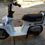 Honda Squash AB11 - 1981 thông số kỹ thuật và hình ảnh, Honda Squash AB11 - 1981 specifications and photos