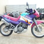 Kawasaki KLE250 Anhelo - 1993 thông số kỹ thuật và hình ảnh, Kawasaki KLE 250 Anhelo - 1993 specifications and photos