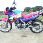 Kawasaki KLE250 Anhelo - 1993 thông số kỹ thuật và hình ảnh, Kawasaki KLE 250 Anhelo - 1993 specifications and photos