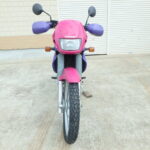 Kawasaki KLE250 Anhelo - 1993 thông số kỹ thuật và hình ảnh, Kawasaki KLE 250 Anhelo - 1993 specifications and photos