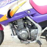 Kawasaki KLE250 Anhelo - 1993 thông số kỹ thuật và hình ảnh, Kawasaki KLE 250 Anhelo - 1993 specifications and photos