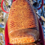 Triumph Bonneville Homd Chopper– 1981 thông số kỹ thuật và hình ảnh, Triumph Bonneville Homd Chopper – 1981 specifications and photos