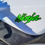 Kawasaki Ninja 300 – 2015 thông số kỹ thuật và hình ảnh, Kawasaki Ninja 300 – 2015 specifications and photos